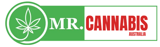 mr-cannabis-logo