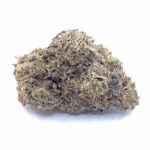 White Runtz strain Australia