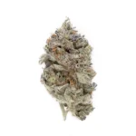 Kosher Kush strain Australia